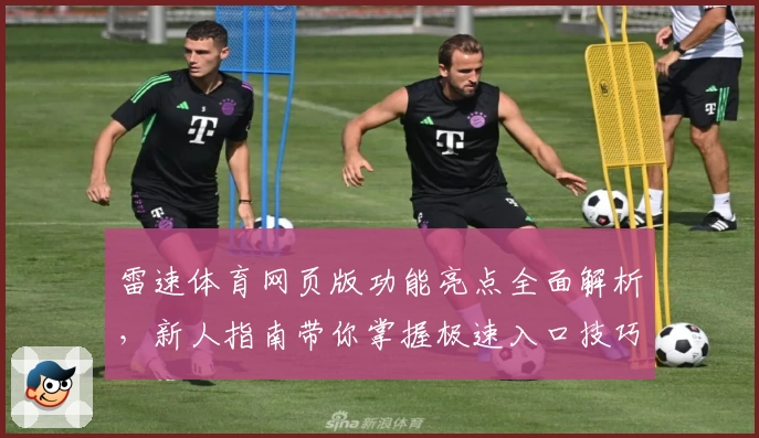 雷速体育网页版功能亮点全面解析，新人指南带你掌握极速入口技巧