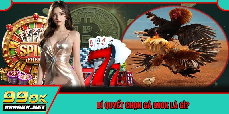 Bí Quyết Chọn Gà 99OK Là Gì?