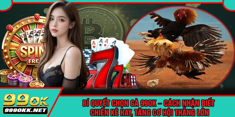 Bí Quyết Chọn Gà 99OK – Cách Nhận Biết Chiến Kê Hay, Tăng Cơ Hội Thắng Lớn