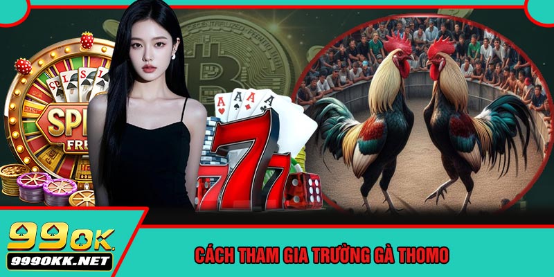 Cách Tham Gia Trường Gà Thomo