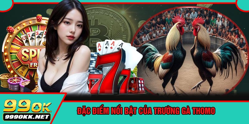 Đặc Điểm Nổi Bật Của Trường Gà Thomo