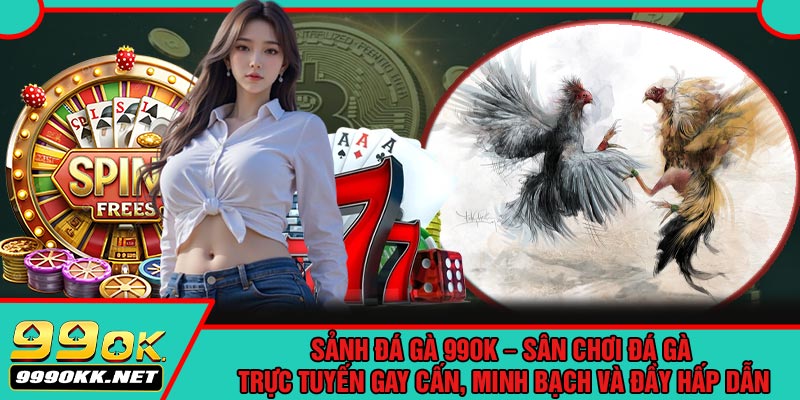 Sảnh Đá Gà 99OK – Sân Chơi Đá Gà Trực Tuyến Gay Cấn, Minh Bạch Và Đầy Hấp Dẫn