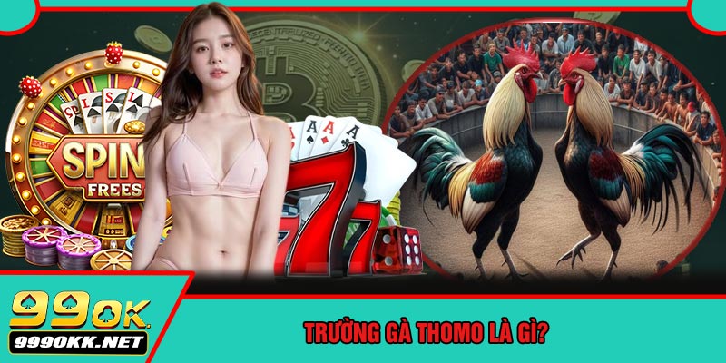 Trường Gà Thomo Là Gì?